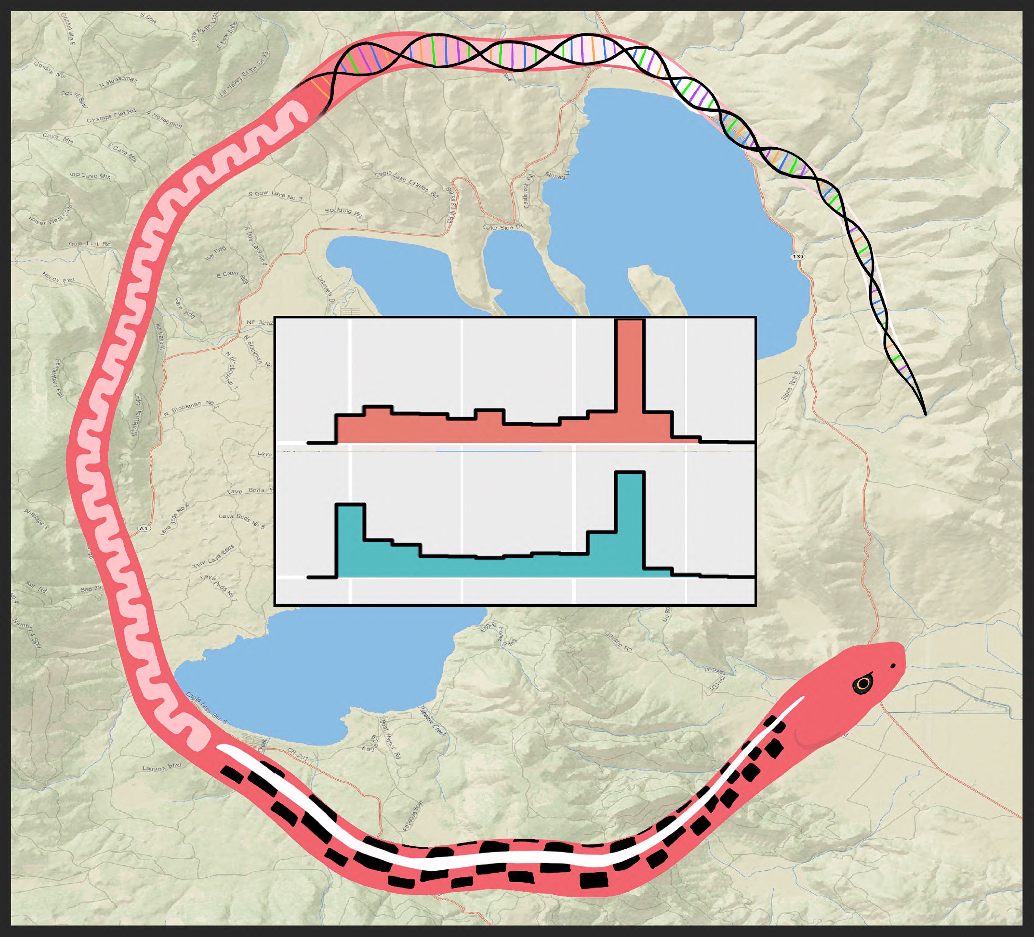 PopulationGenetics